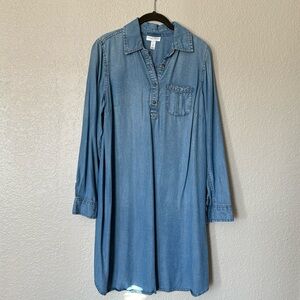 Liz Lange Maternity Dress